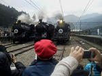 20130321d.JPG