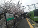 20130330a.JPG