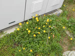 20130330b.JPG