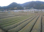 20130401e.JPG