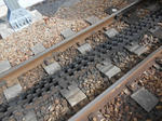 20130403h.JPG