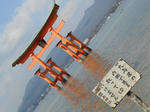 20130403j.JPG