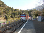 20130405f.JPG