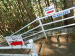 20130406c.JPG