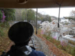 20130408h.JPG