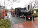 20130411b.JPG