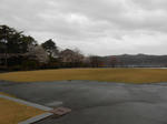 20130411g.JPG