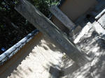 20130416c.JPG