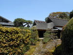 20130416d.JPG