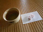 20130416e.JPG