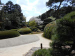 20130416f.JPG