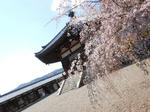 20130417g.JPG