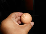 20130503d.JPG