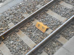 20130504b.JPG