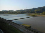 20130507c.JPG