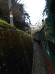 20130511g.JPG