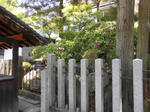 20130519g.JPG