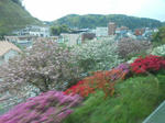 20130522g.JPG