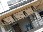 20130524h.JPG