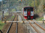 20130528d.JPG