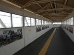 20130530f.JPG