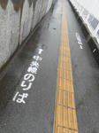 20130604d.JPG