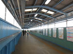 20130609e.JPG