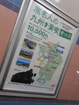20130612j.JPG