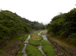 20130620k.JPG