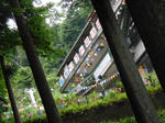 20130621d.JPG