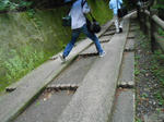 20130621f.JPG
