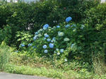 20130710e.JPG