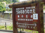 20130713e.JPG