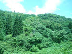 20130718h.JPG