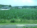 20130719h.JPG
