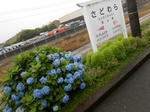 20130720h.JPG