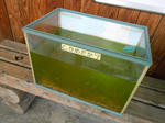 20130721g.JPG