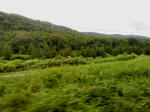 20130801b.JPG