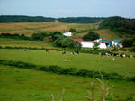 20130803a.JPG