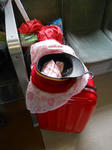 20130804a.JPG
