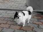 20130805i.JPG