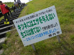 20130808j.JPG