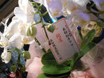 20130818a.JPG
