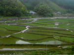 20130826a.JPG
