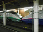 20130904f.JPG