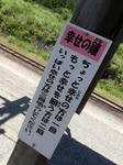 20130913c.JPG