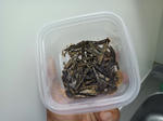20130912d.JPG