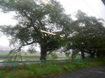 20130920k.JPG
