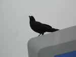 20131009k.JPG