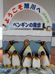 20131015e.JPG